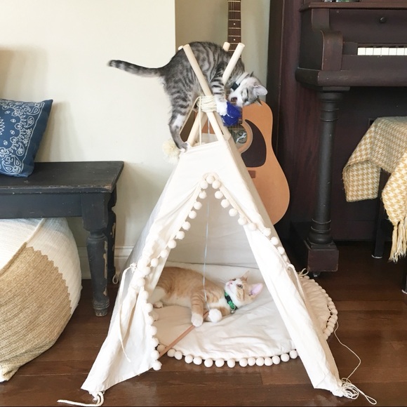 Meet your Posher, Kelly - Picture 6 of 8